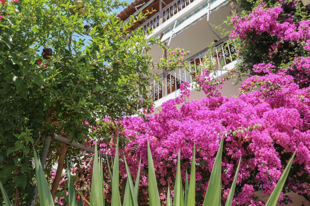 Vaya Zorba Studios Skiathos Town Bagian luar foto